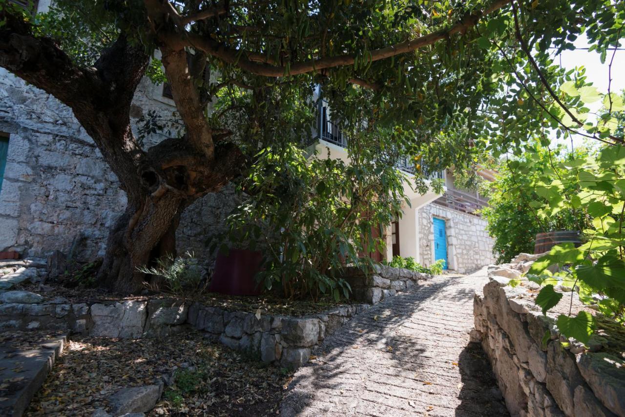Guesthouse Pavla Goveđari Esterno foto